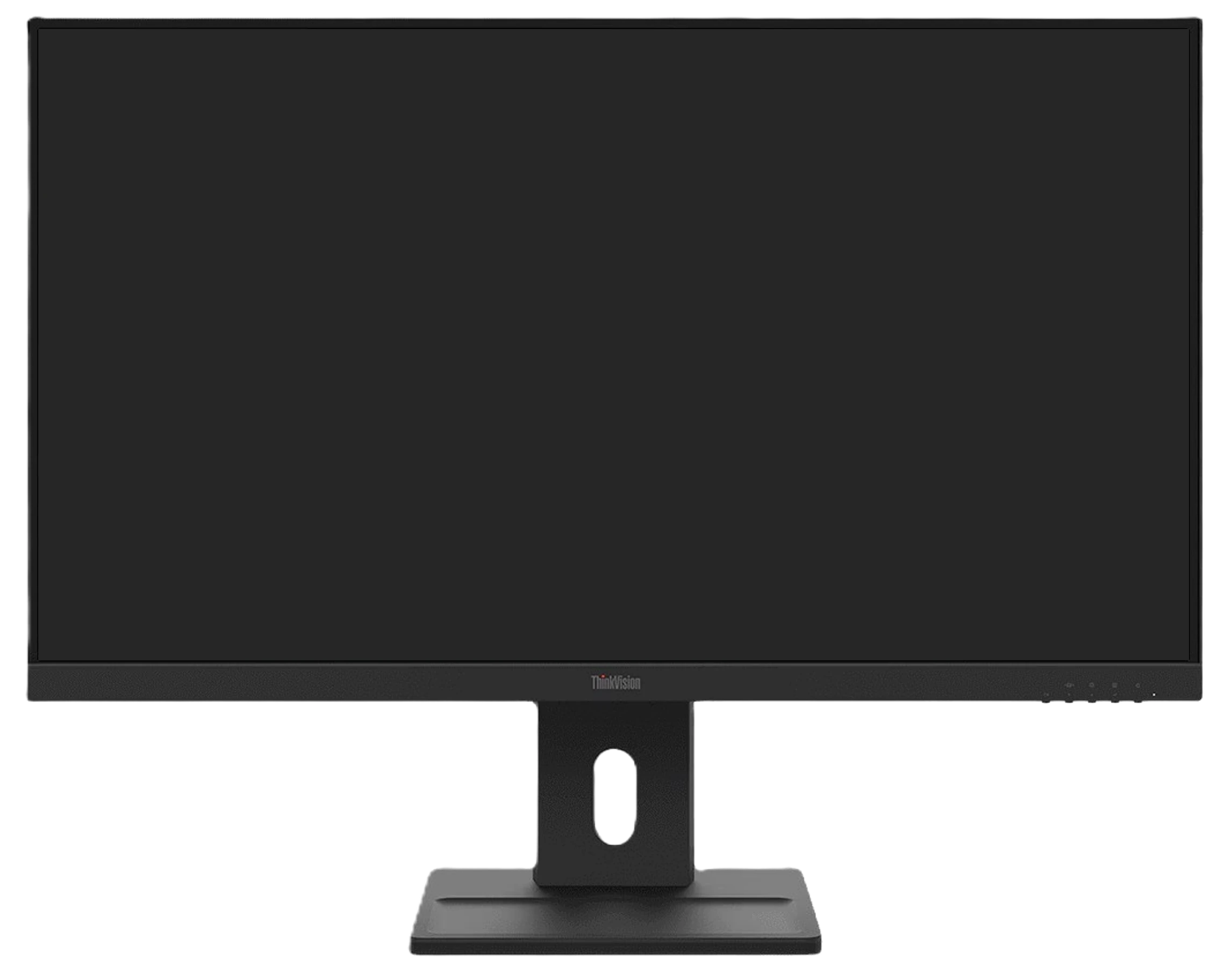 Lenovo monitor used for the ServerLink host PC