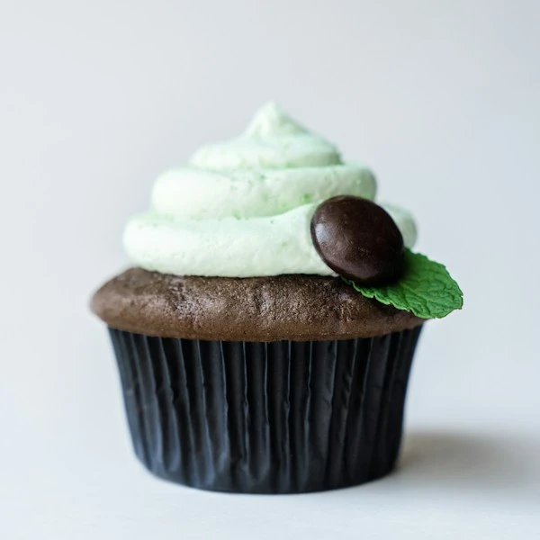 Individual gourmet chocolate cupcake with whipped frosting